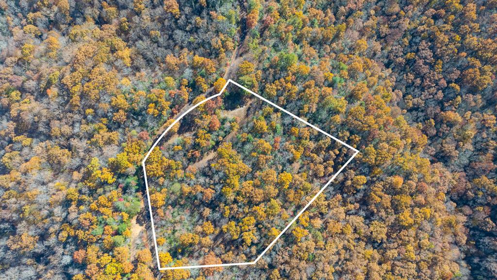 10/11 Sequoyah View Trail LOT 10/11
