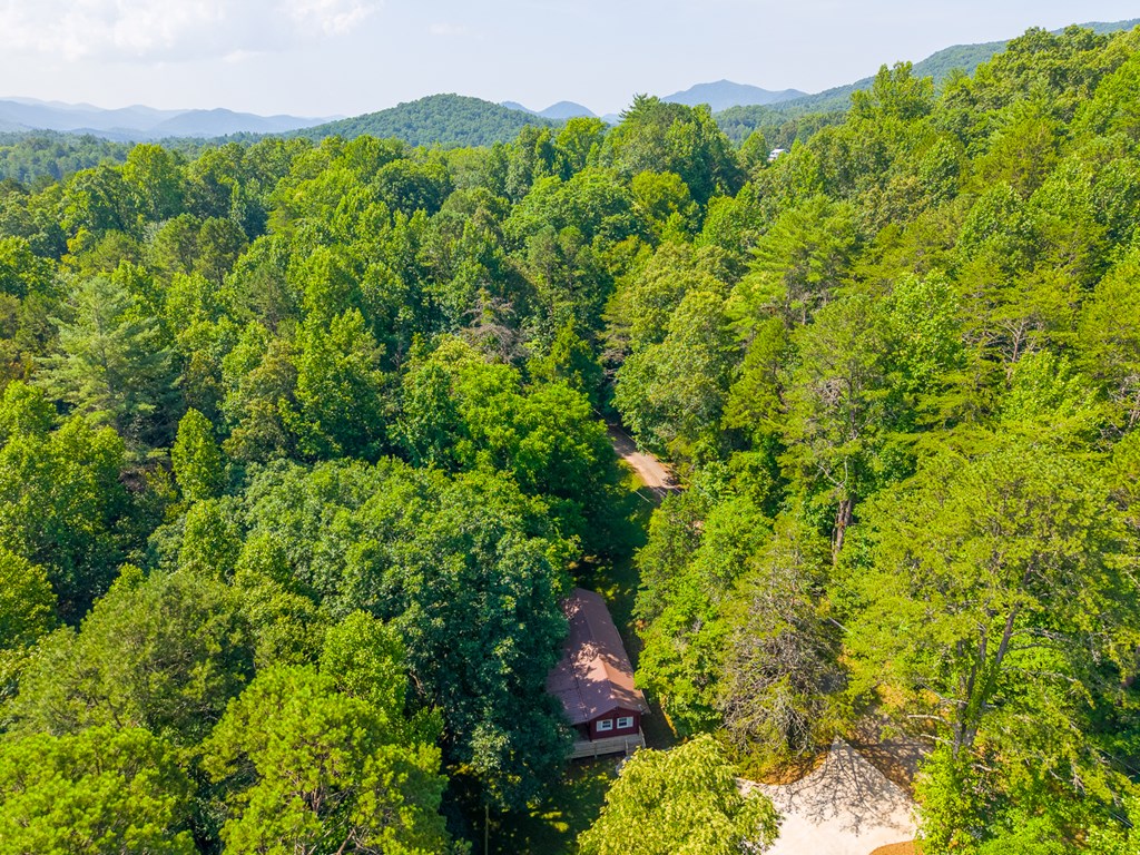 315 Cedar Hills Drive