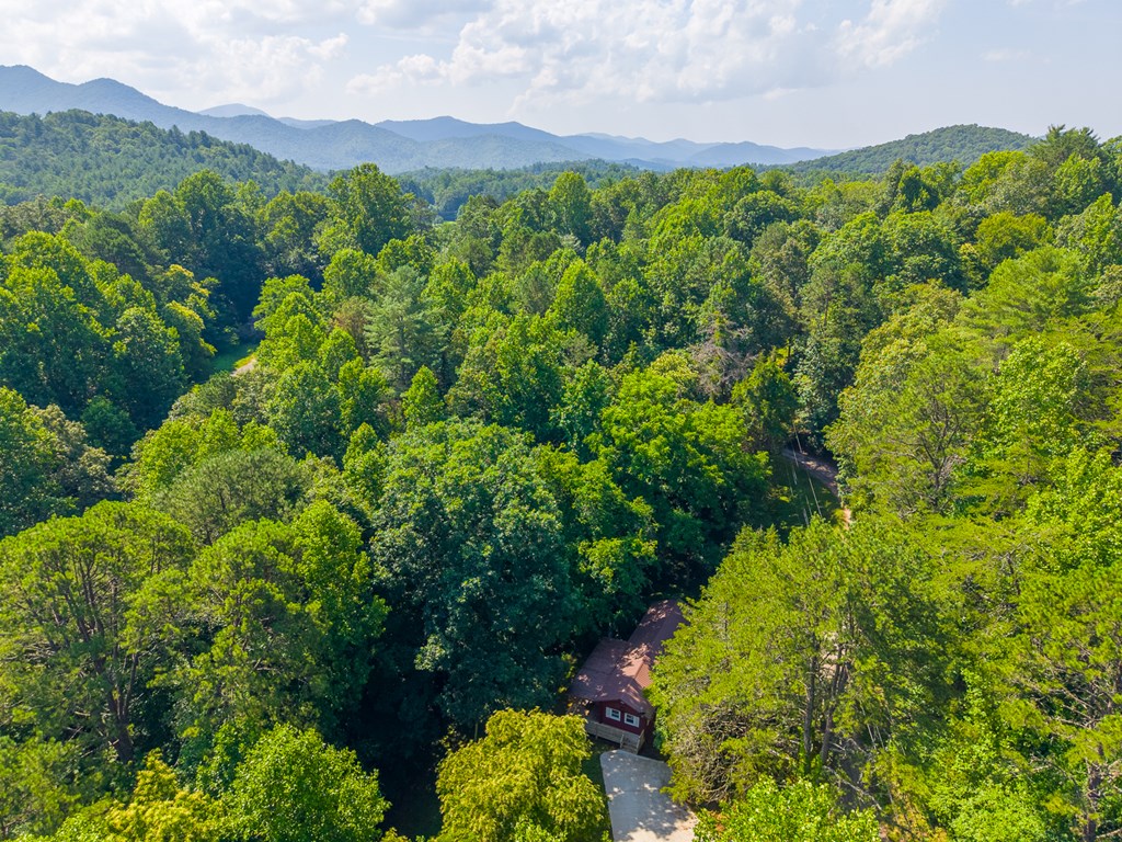 315 Cedar Hills Drive