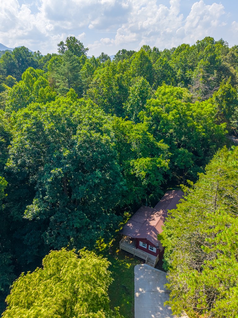 315 Cedar Hills Drive