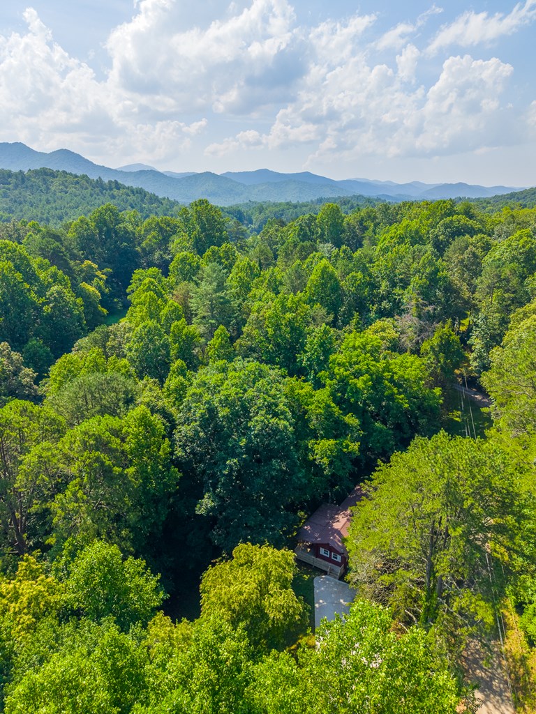 315 Cedar Hills Drive