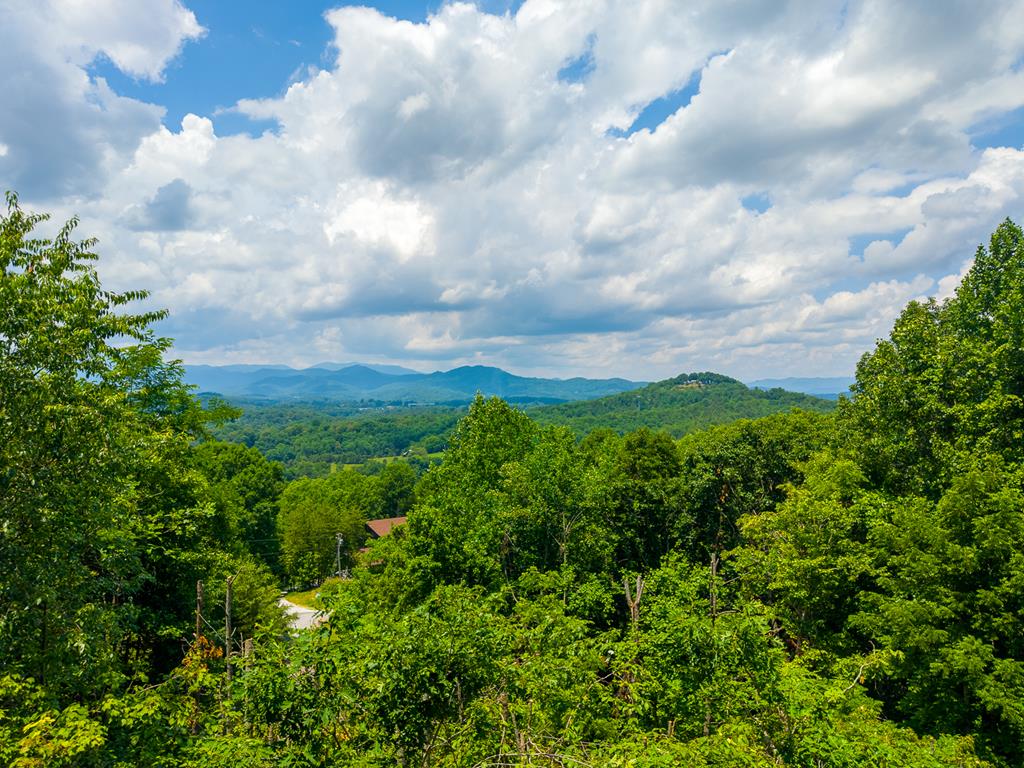 664 Wooten Ridge Road