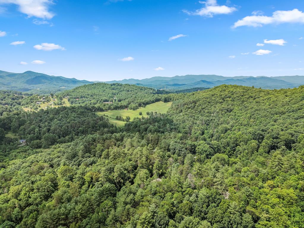 12 Preserve Mountain Circle