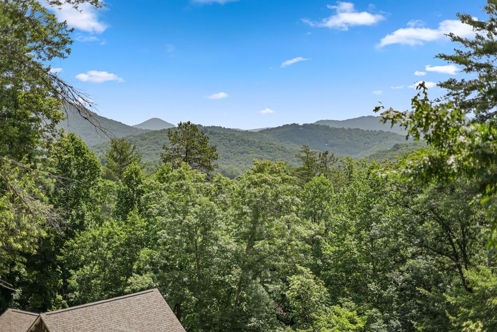12 Preserve Mountain Circle