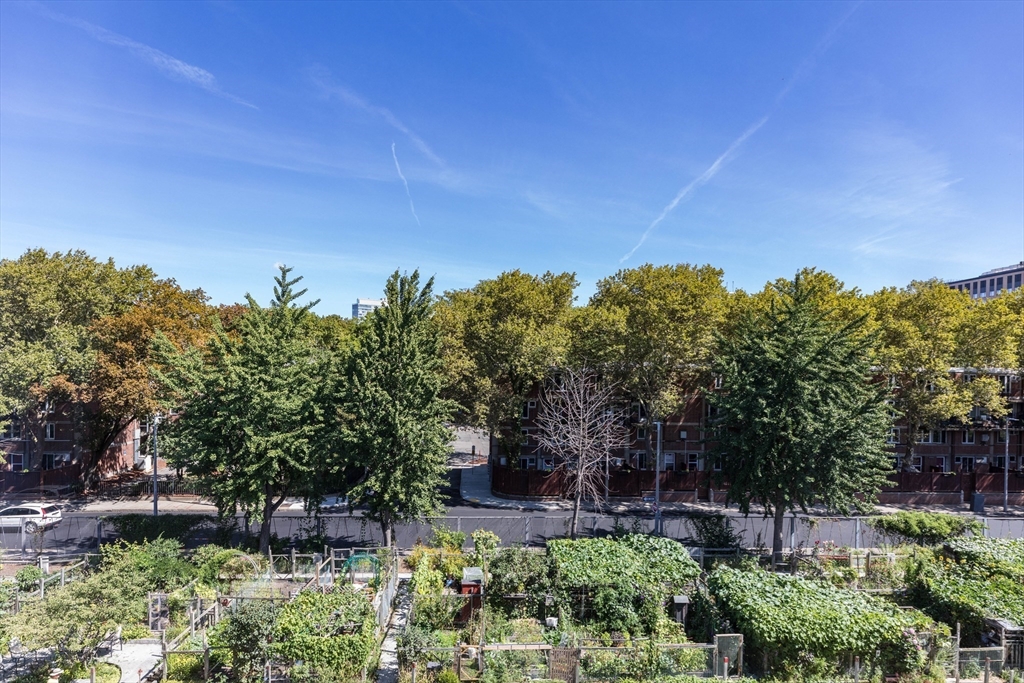 17 Dwight # 3, Boston Unit: 3