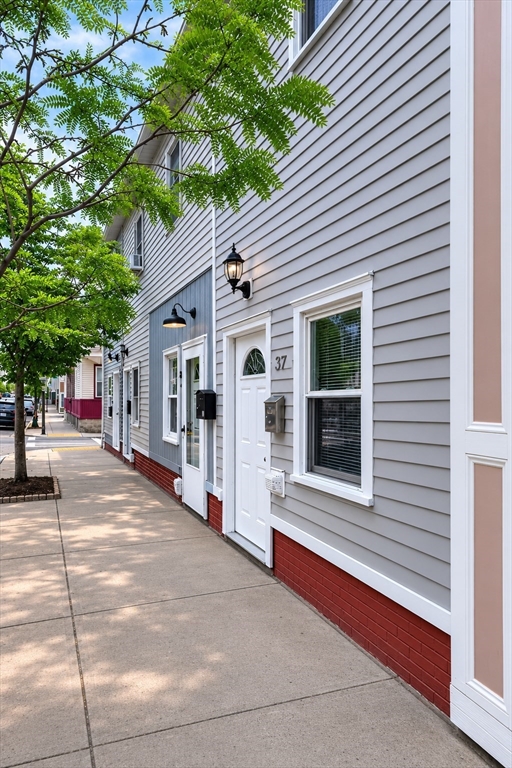 37 Marion St