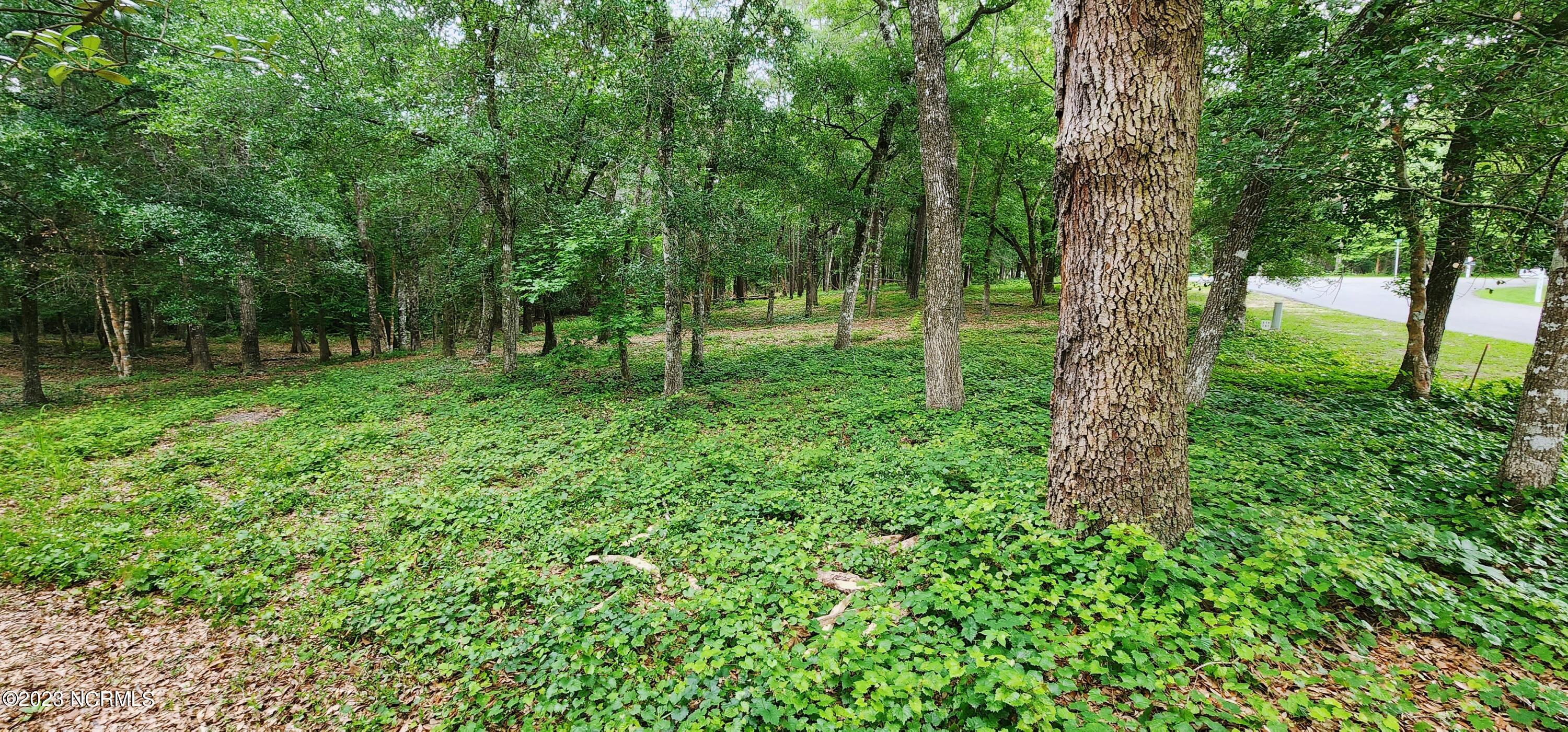 761 Mallard Court SE