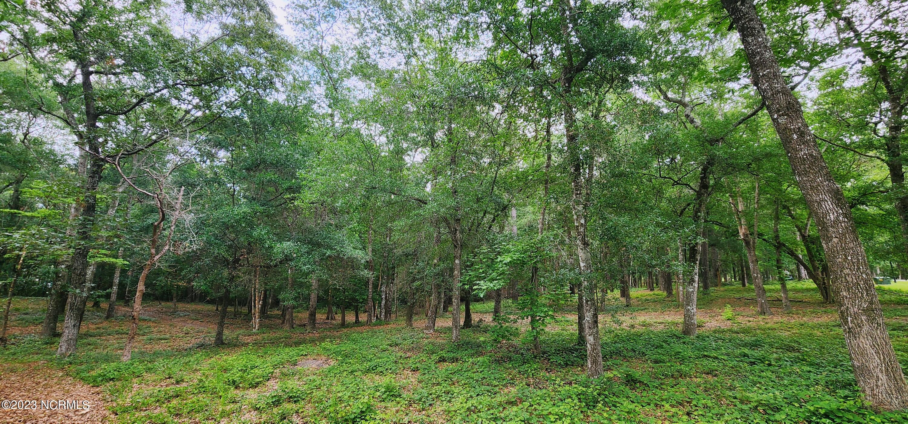 761 Mallard Court SE