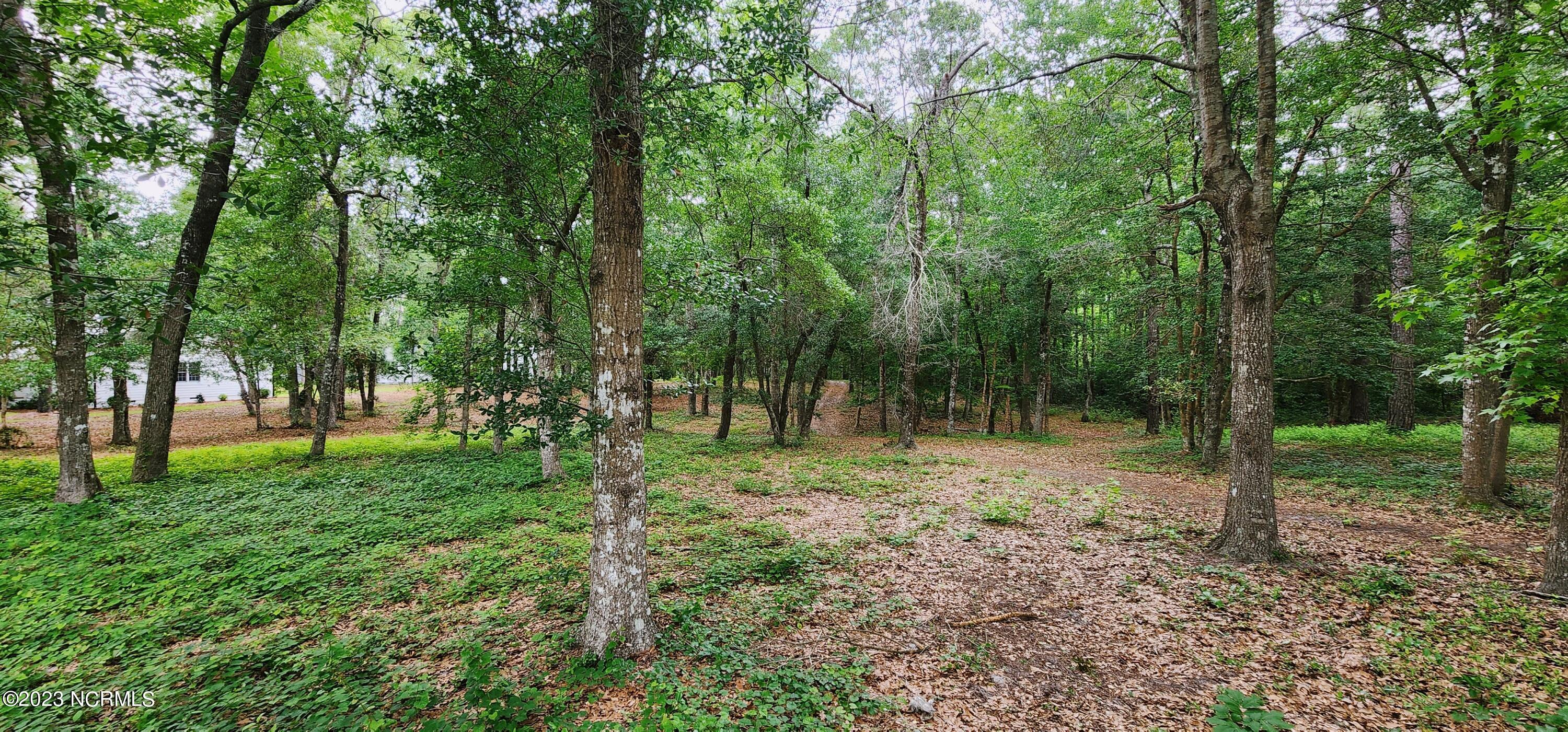 761 Mallard Court SE