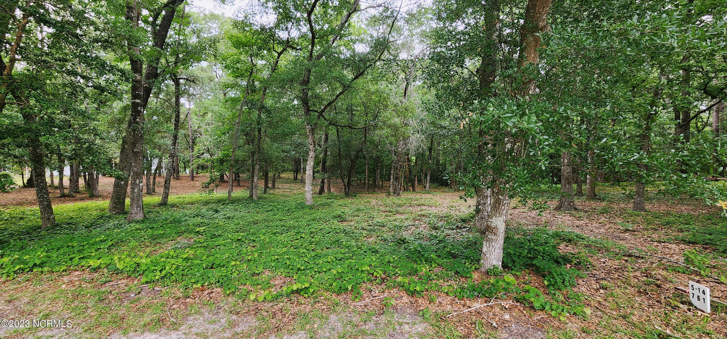 761 Mallard Court SE