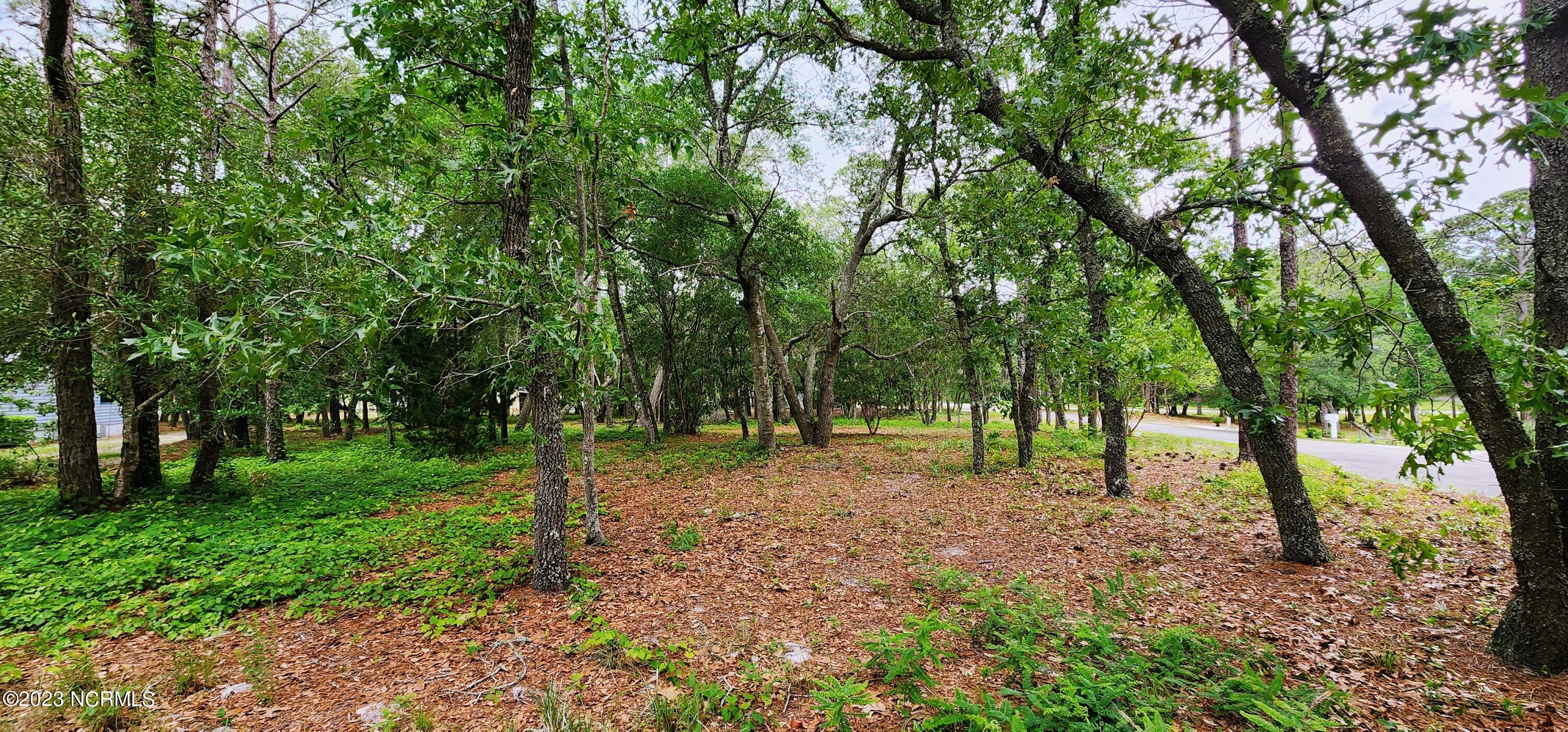 825 Sand Fiddler Court SE