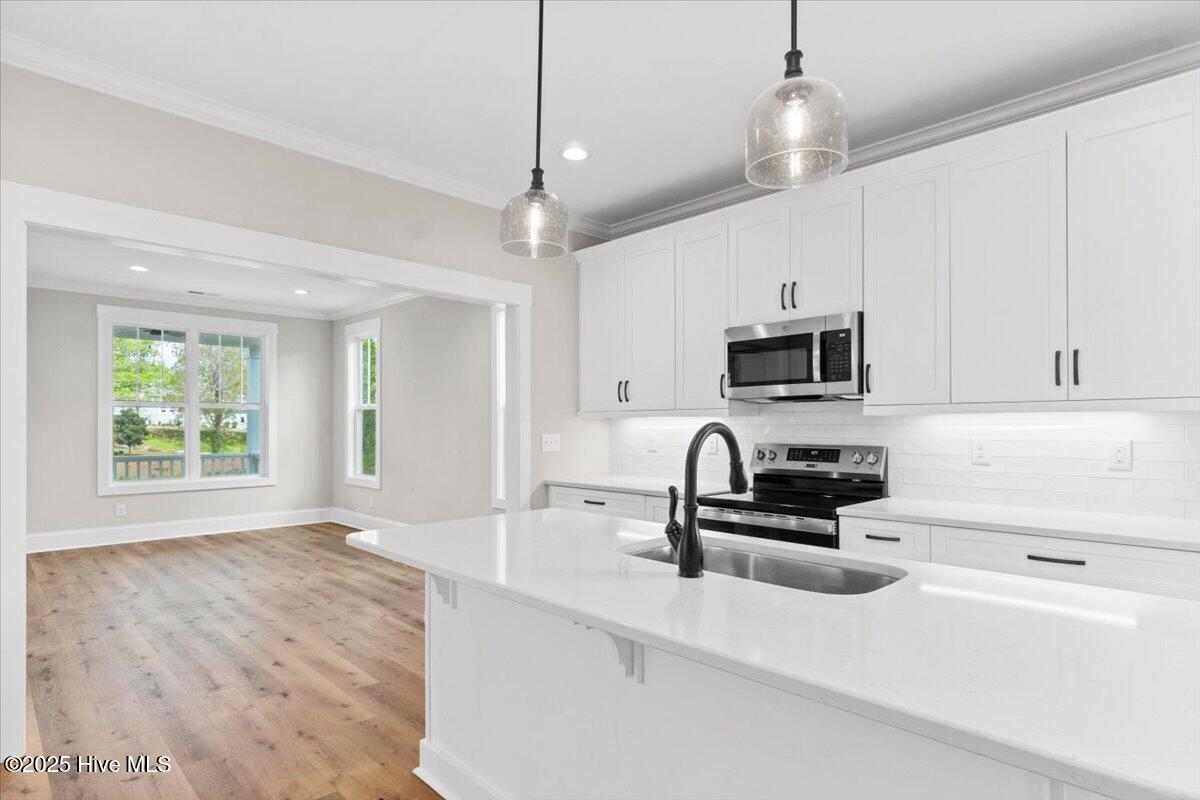 1665 Butterfly Knot Drive SW