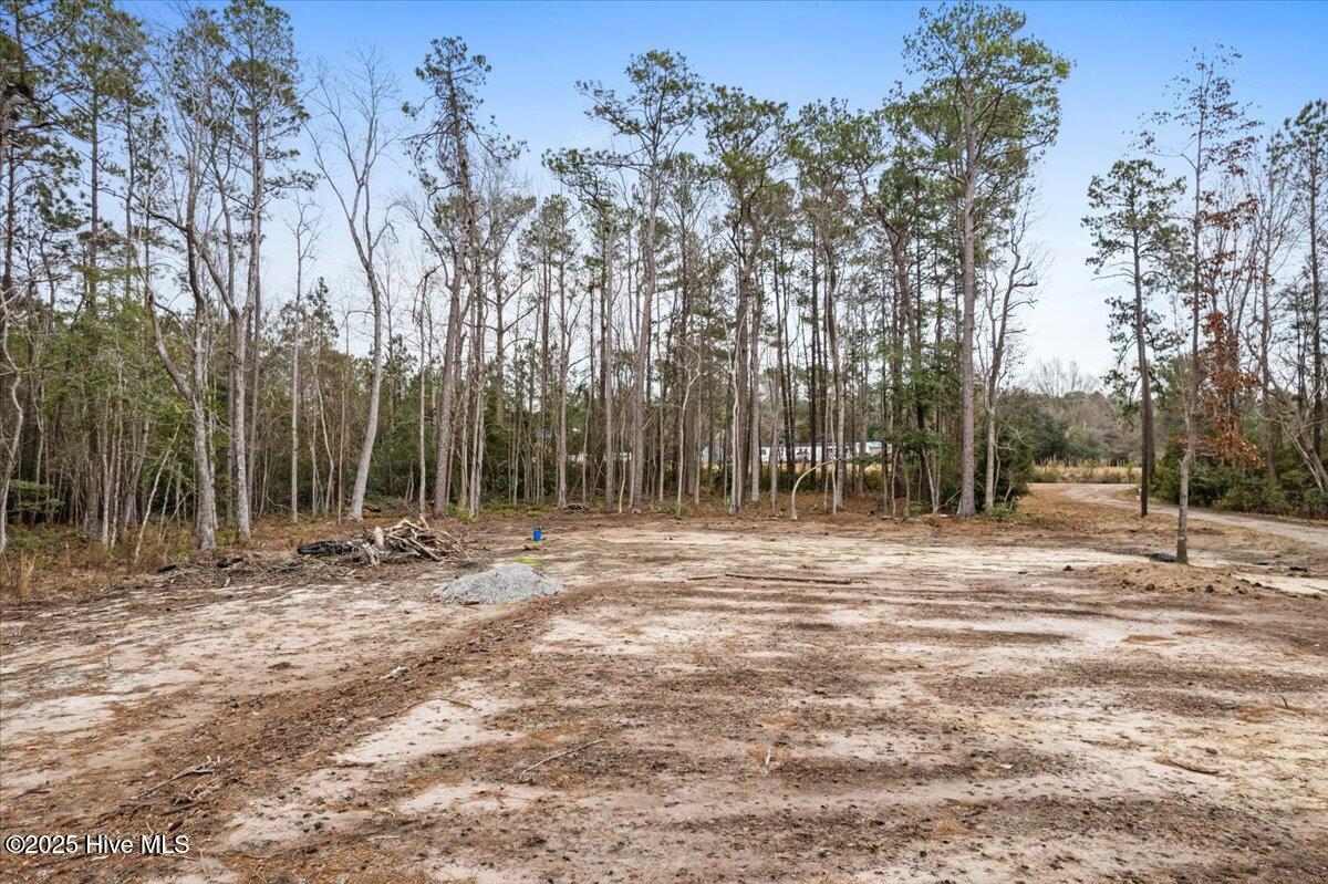 390 Walkinghorse Point SW