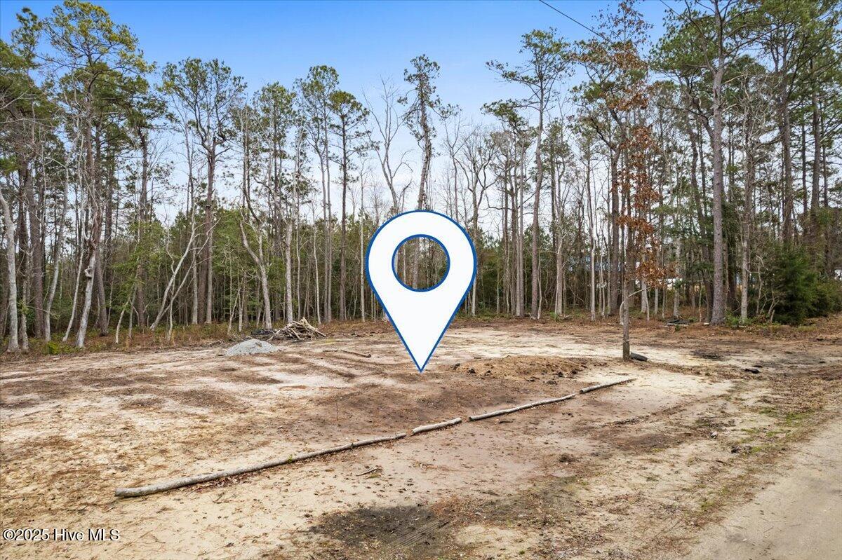 390 Walkinghorse Point SW