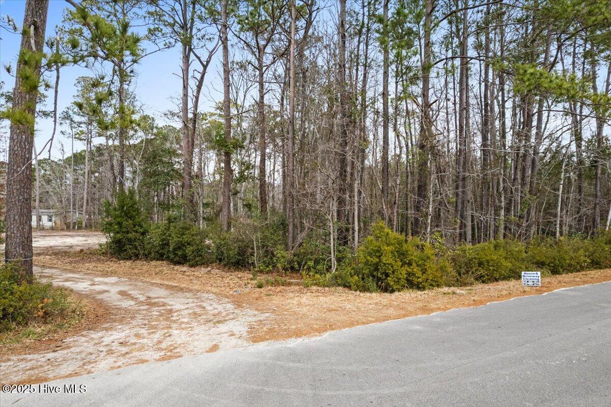 390 Walkinghorse Point SW