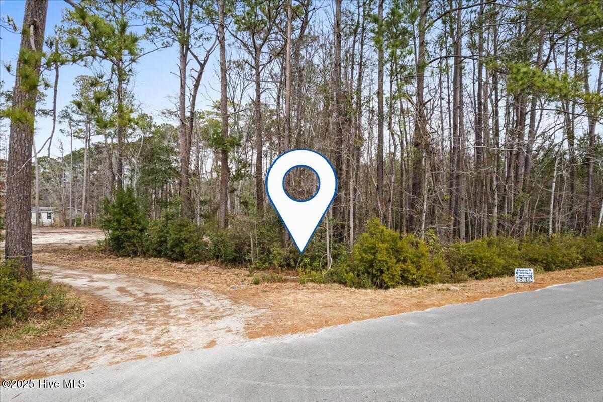 390 Walkinghorse Point SW