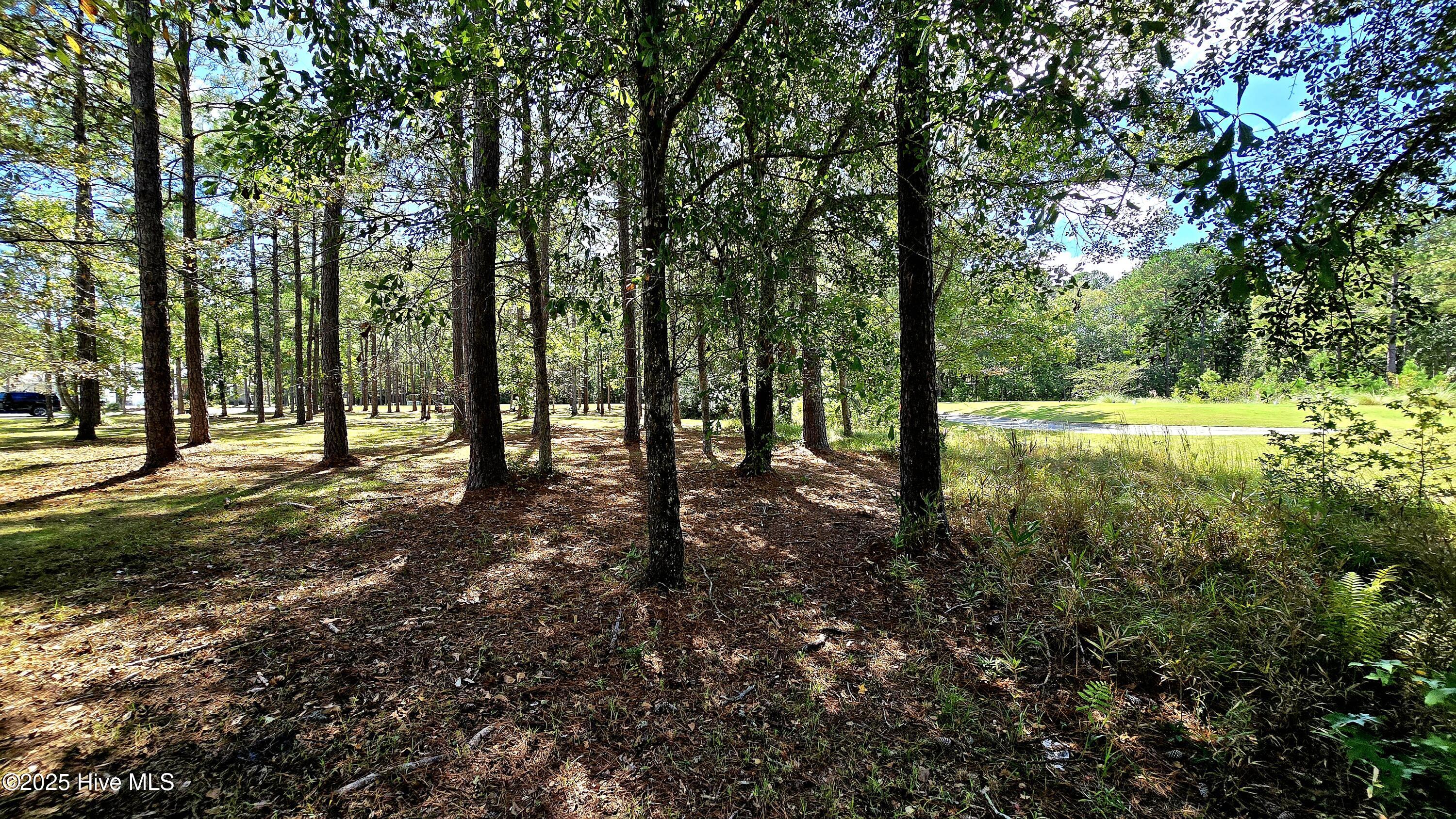 503 Cromwell Notch SW