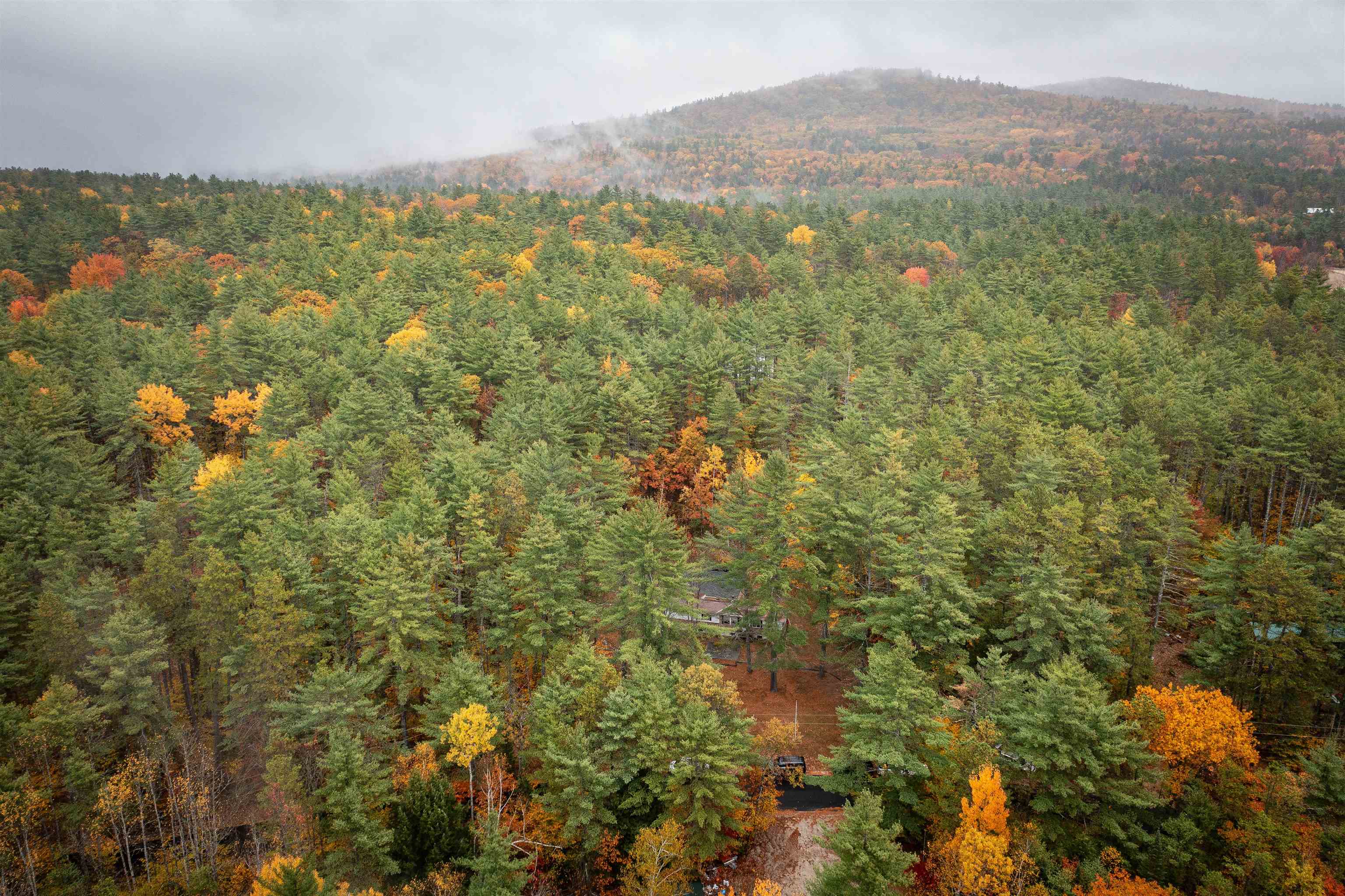 126 Forest Pines Road