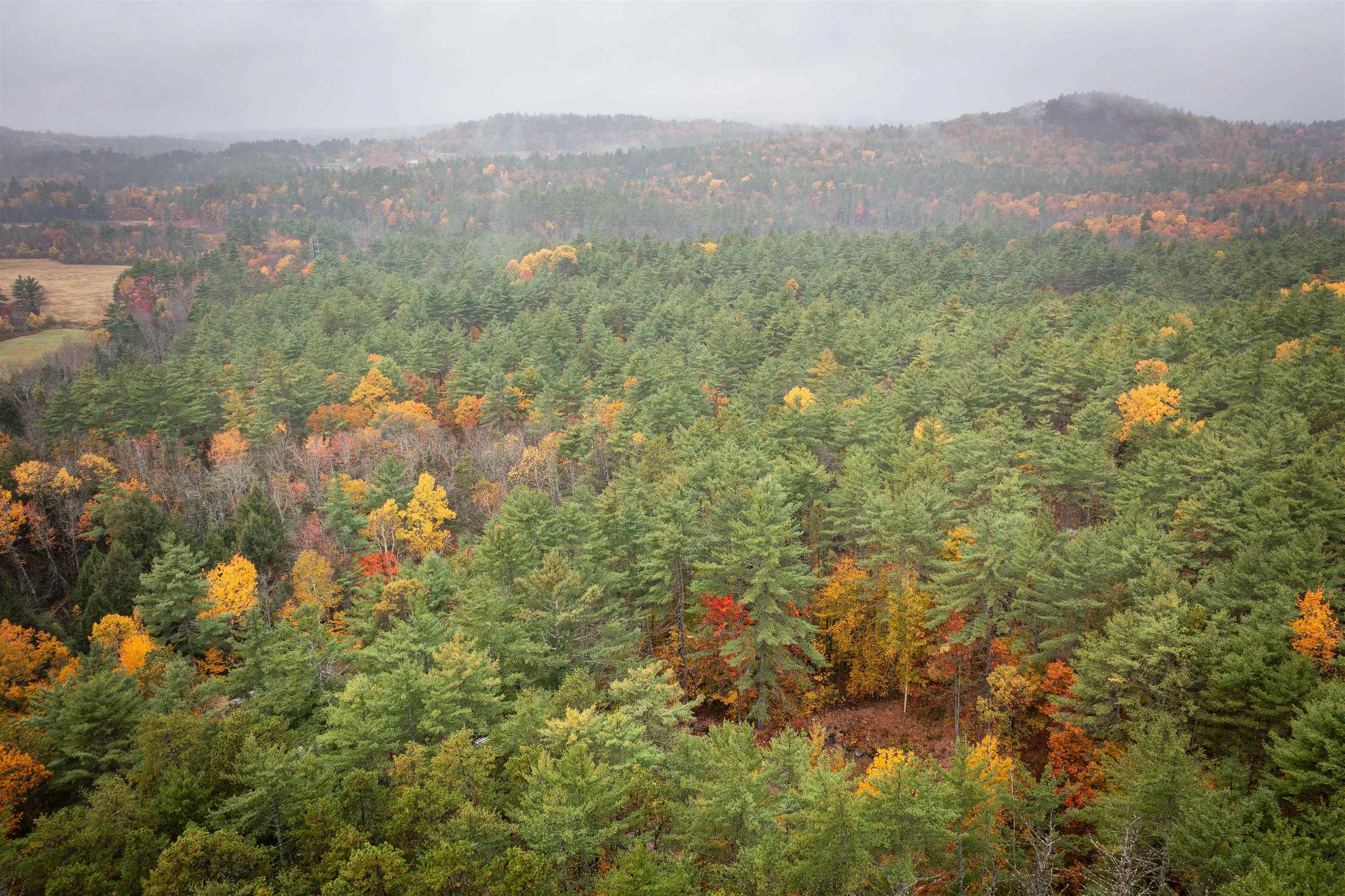 126 Forest Pines Road