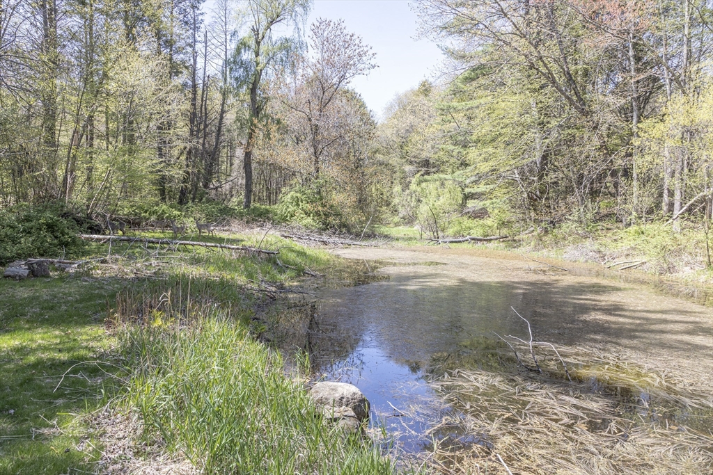 25 Barberry Ln