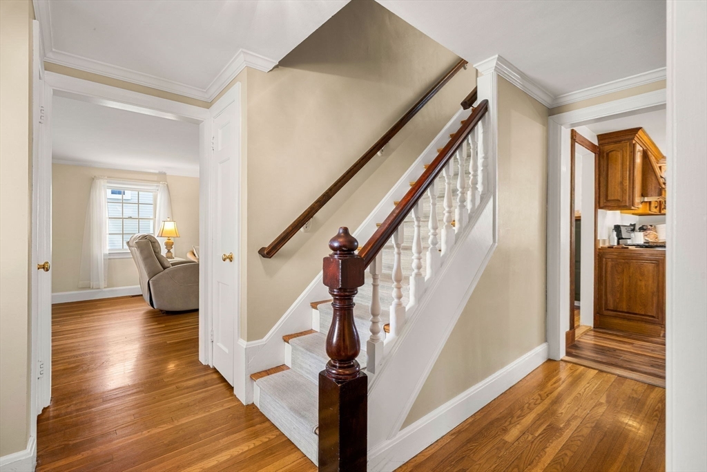 346 Albion St.