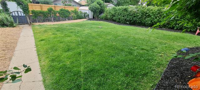 Backyard lawn bordered by mature landscaping and wood fencing, with a concrete walkway along the left.