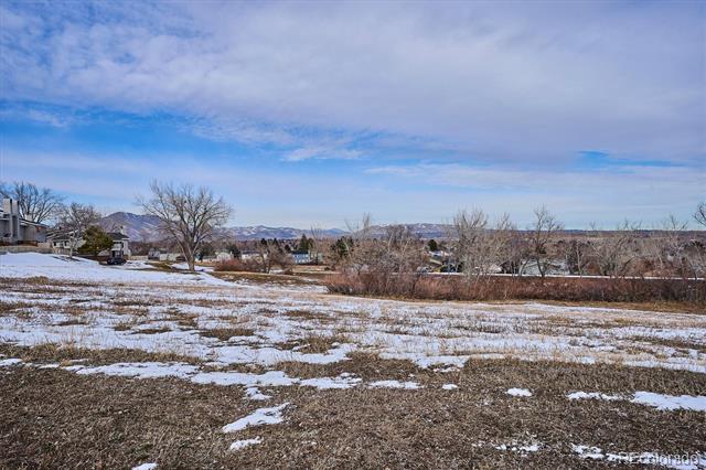 Snow-dusted vacant lot with leafless trees and distant mountains.