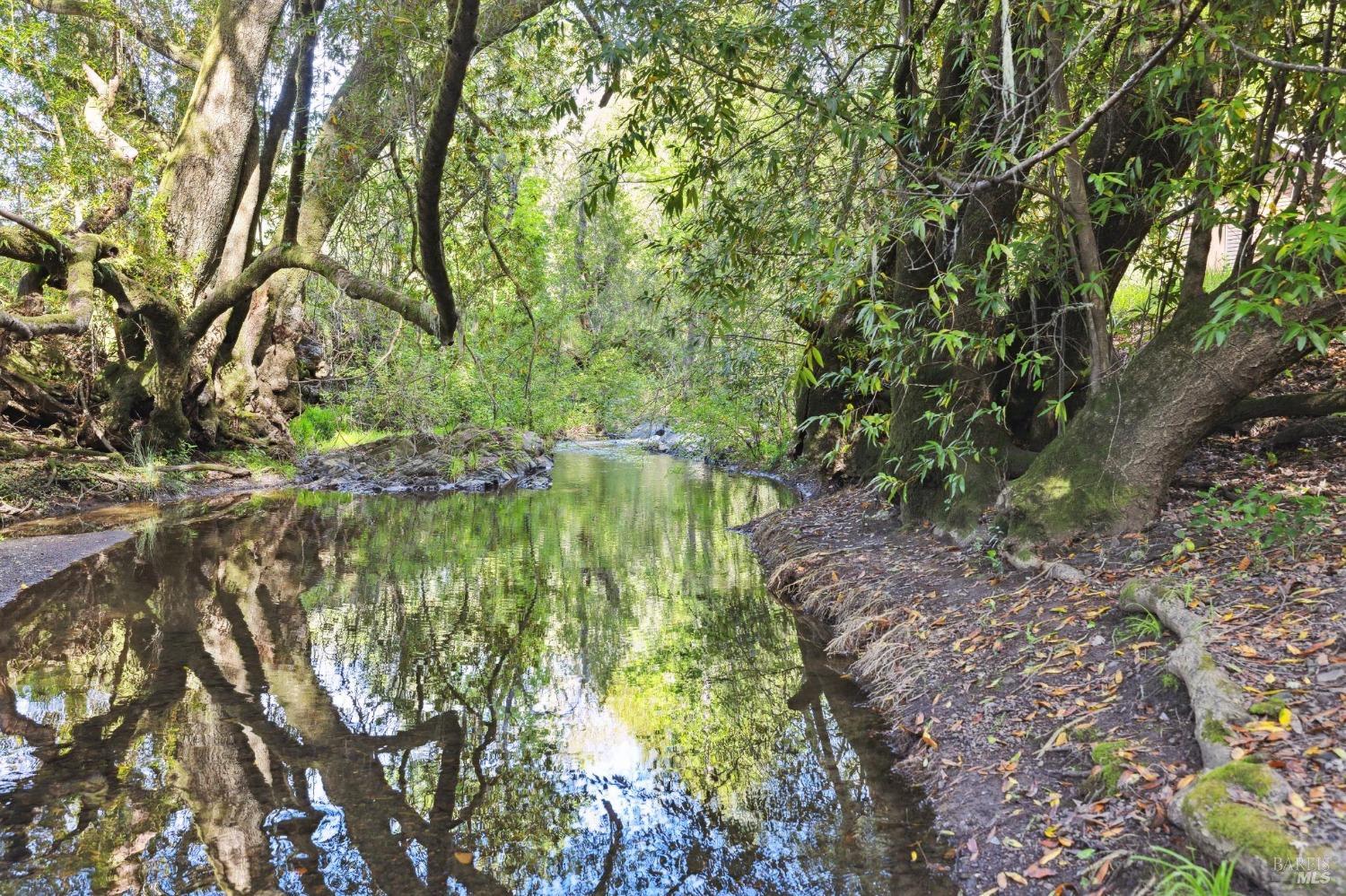 380 San Geronimo Valley Dr