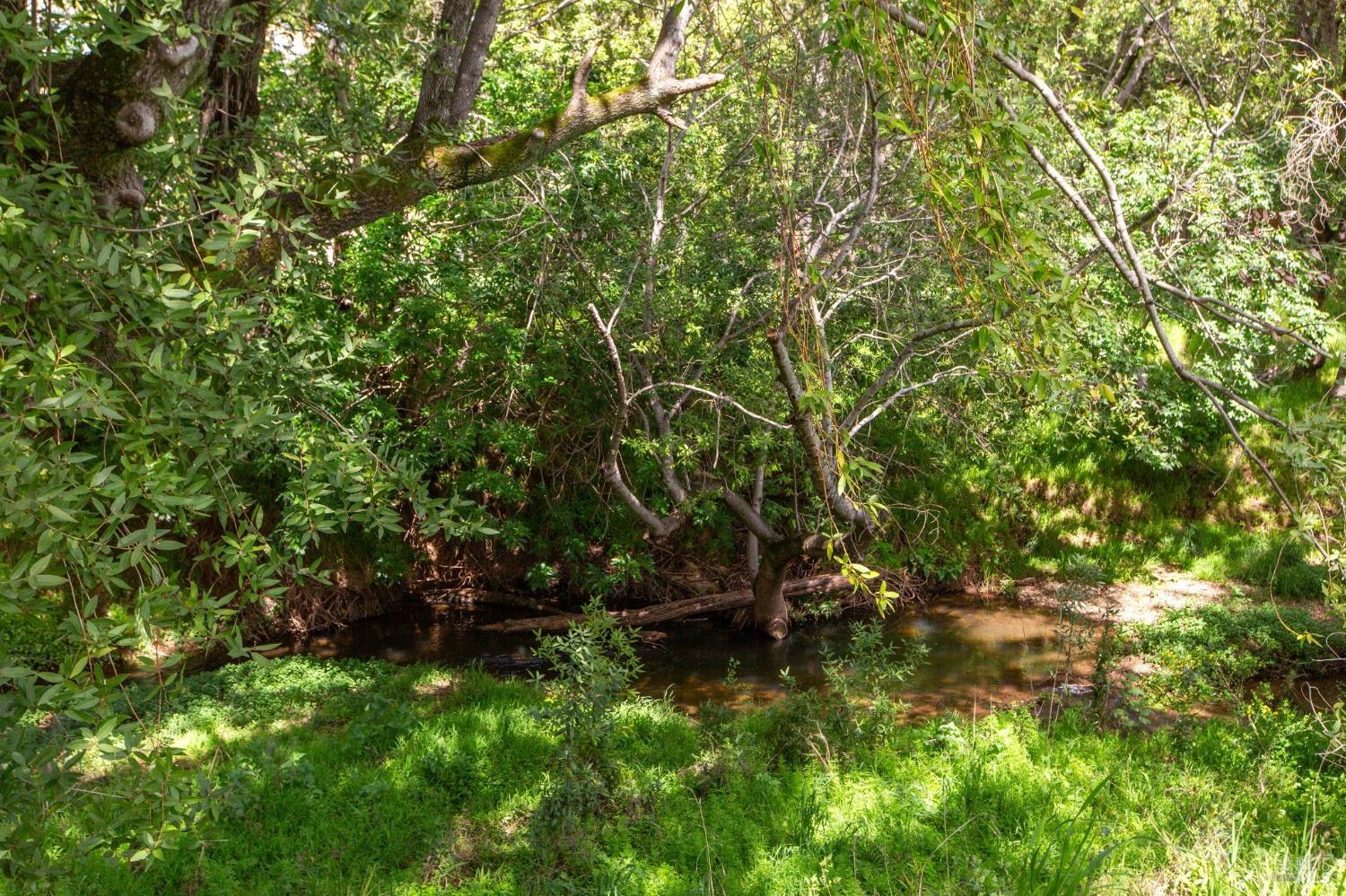 610 Calle De La Mesa