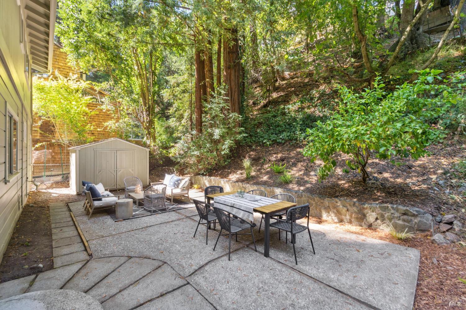 246 Madrone Ave