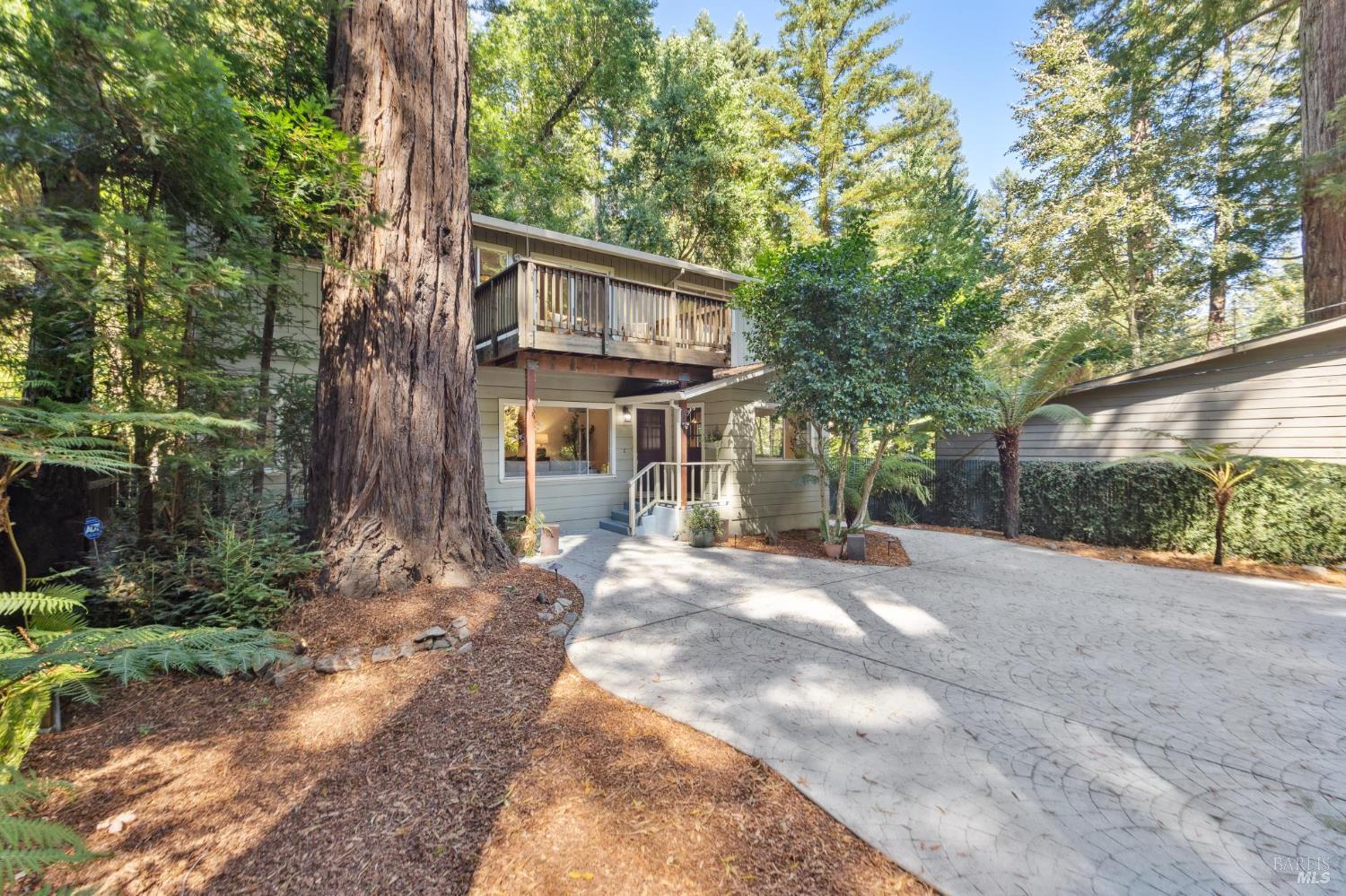 246 Madrone Ave