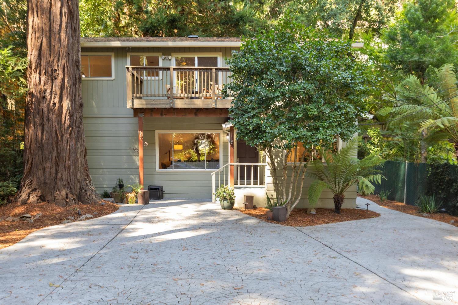 246 Madrone Ave