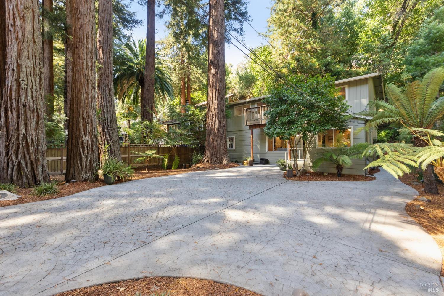 246 Madrone Ave