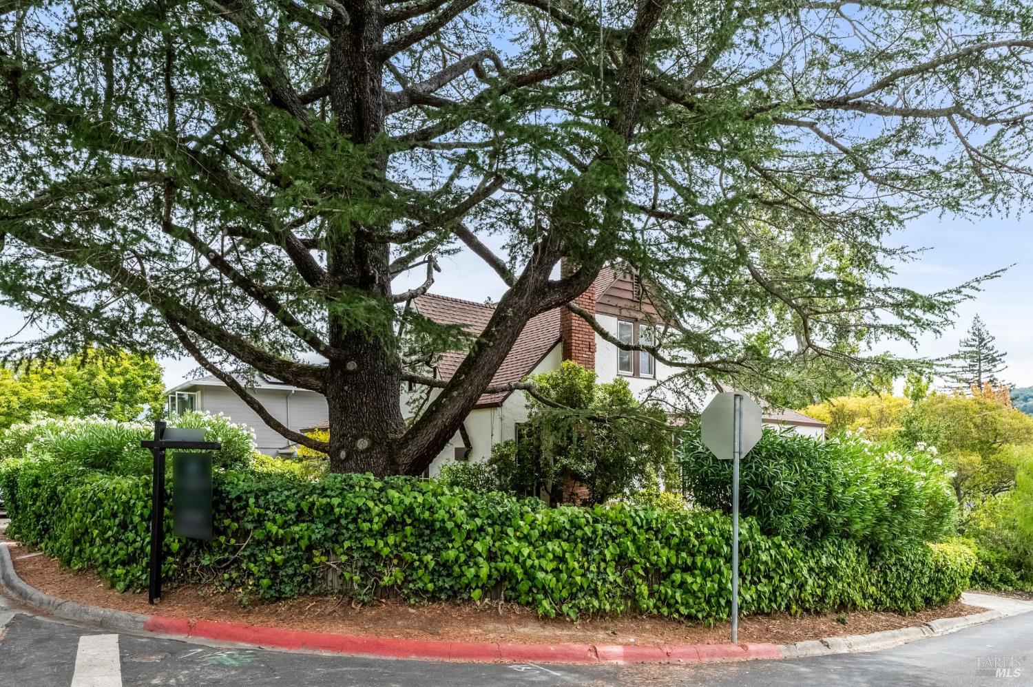 37 Rutherford Ave Unit:  