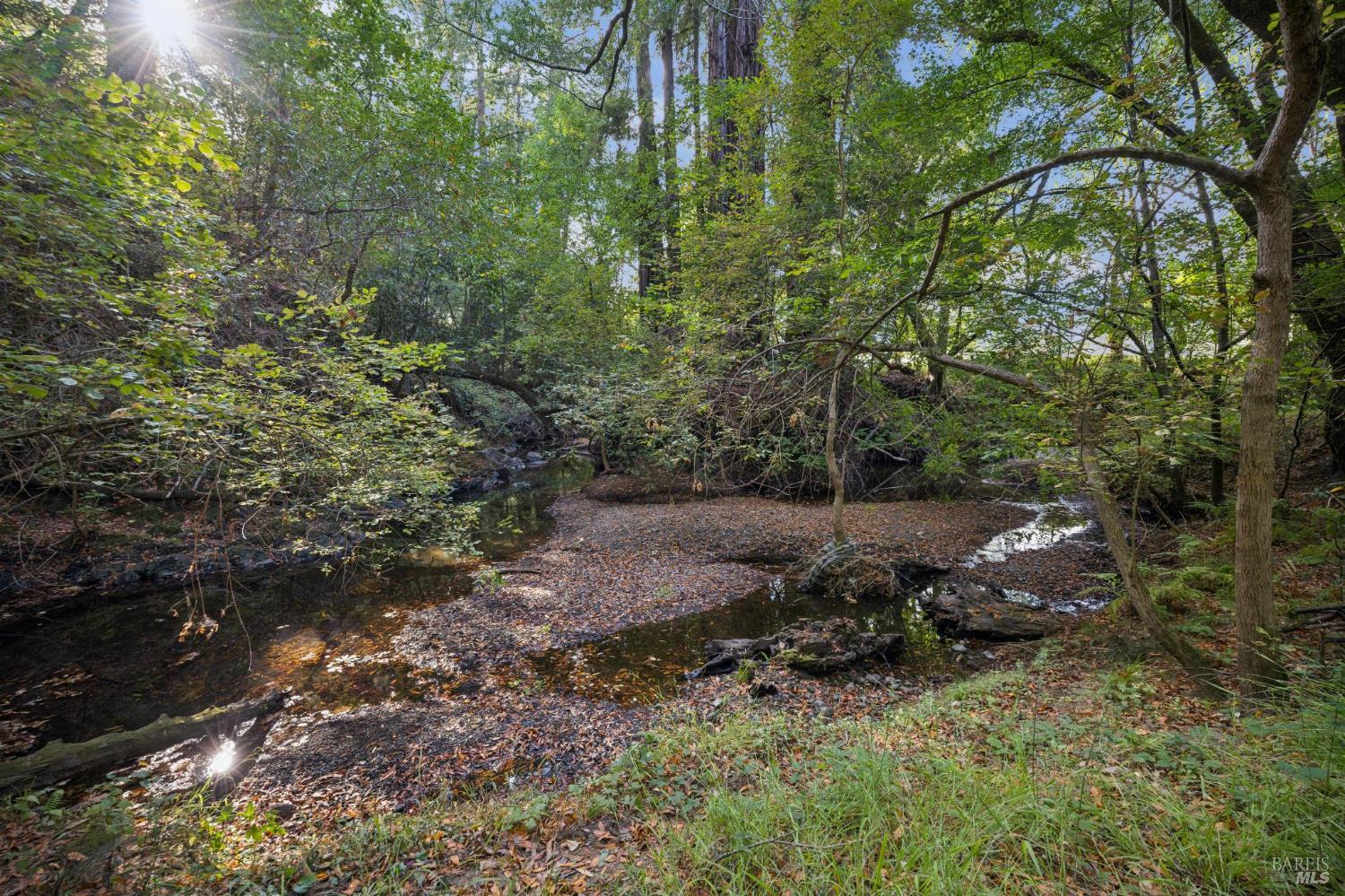 380 San Geronimo Valley Drive
