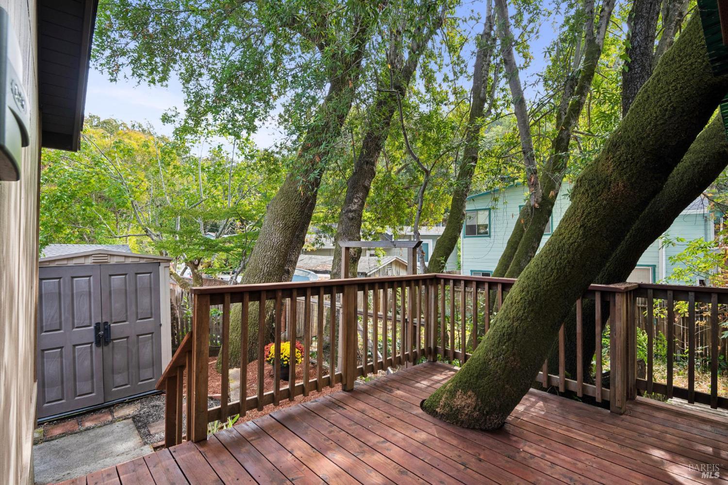 73 Scenic Avenue