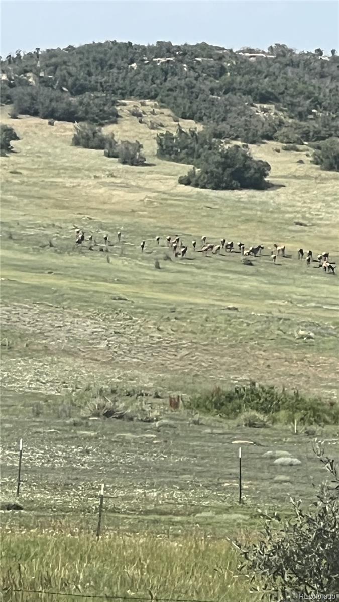 12344 Turquoise Terrace Street