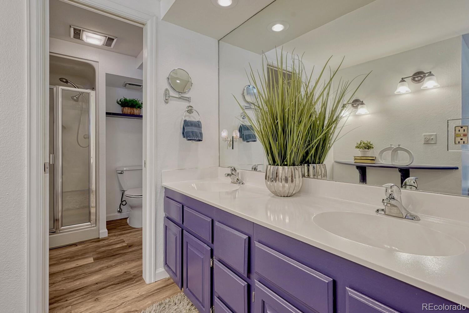 10628 W Park Mountain