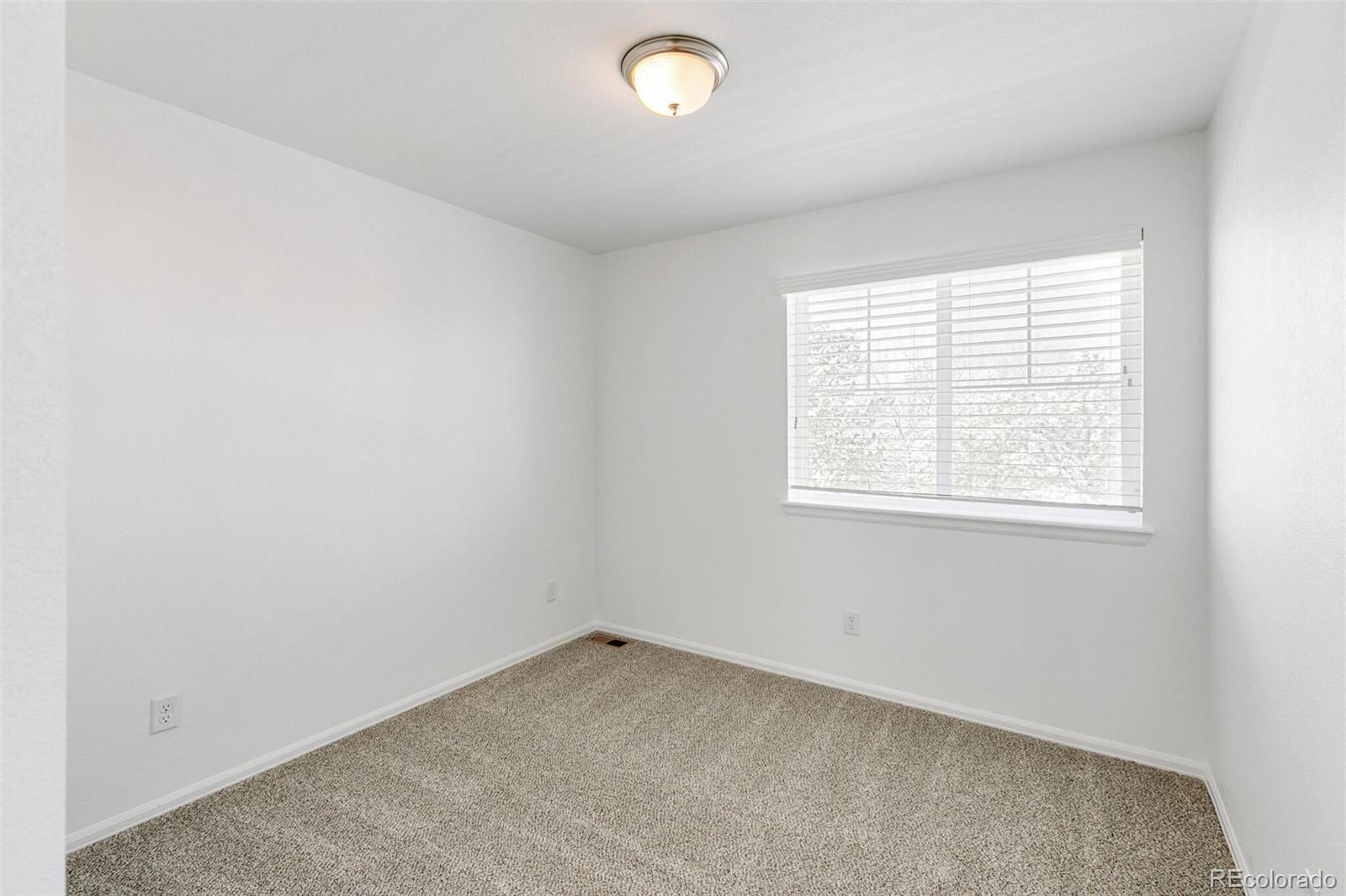 12983 Norway Maple Street