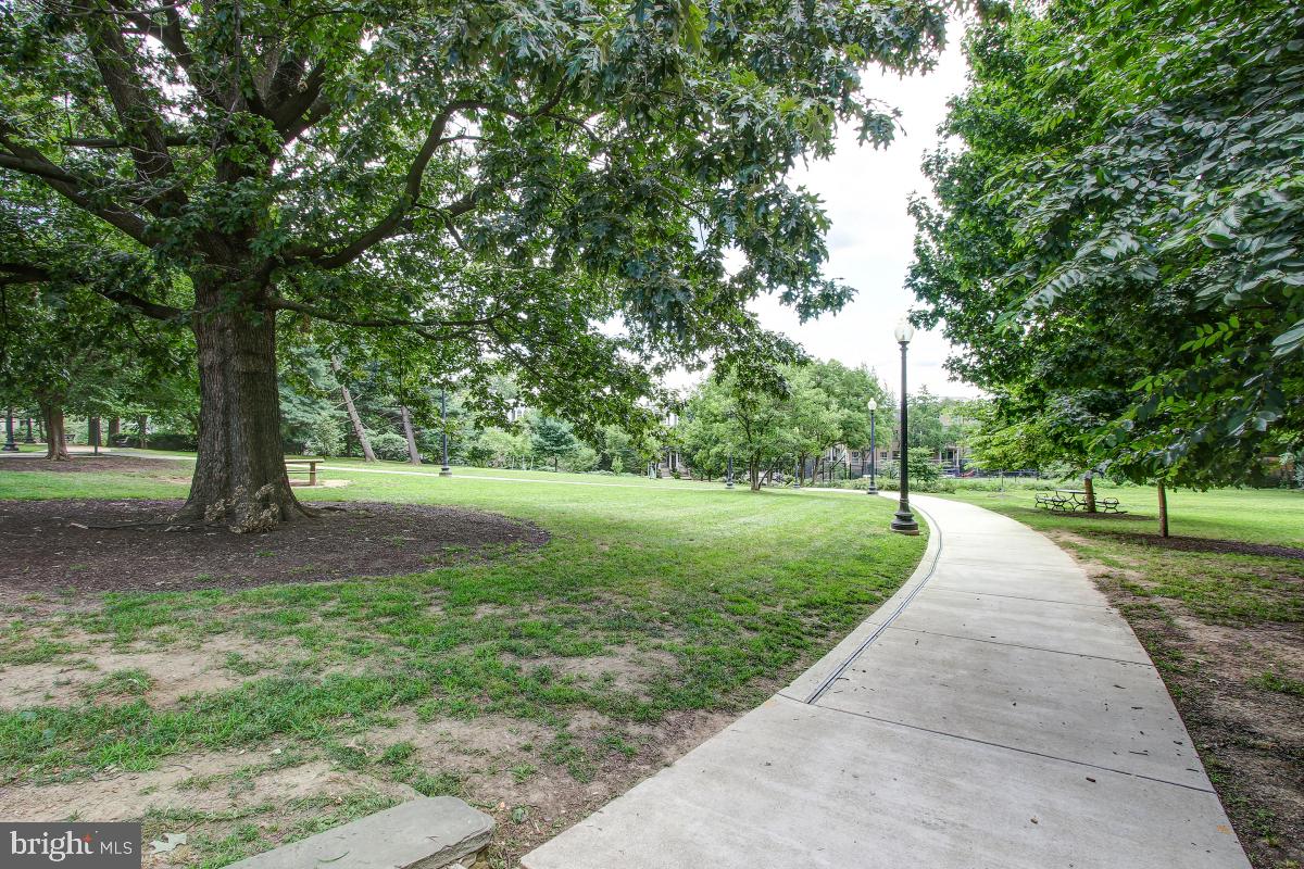 1910 KALORAMA ROAD NW 403