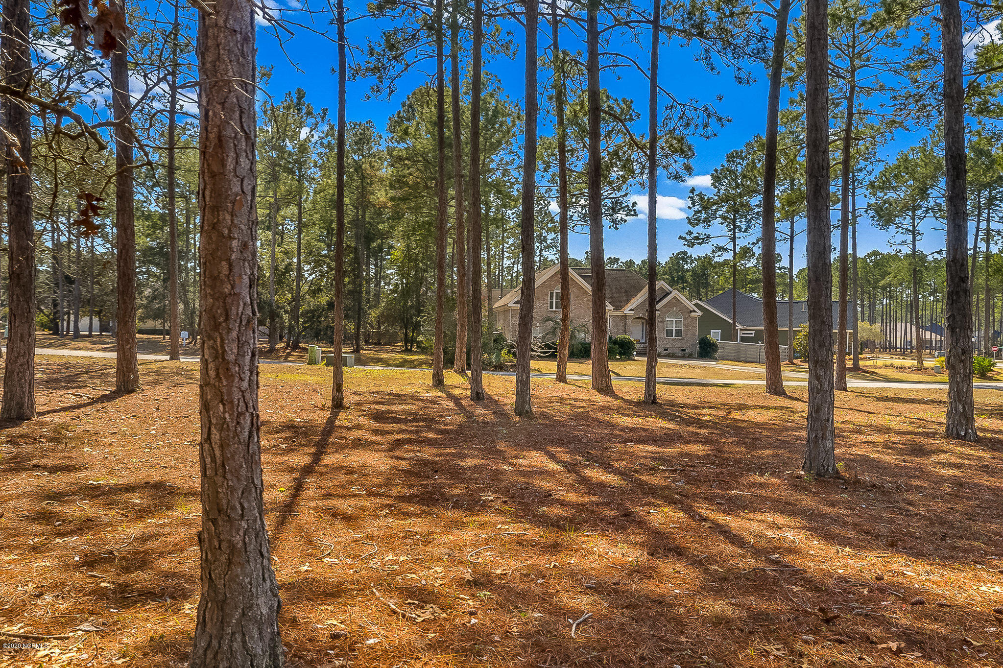135 18 Forest Walk SW