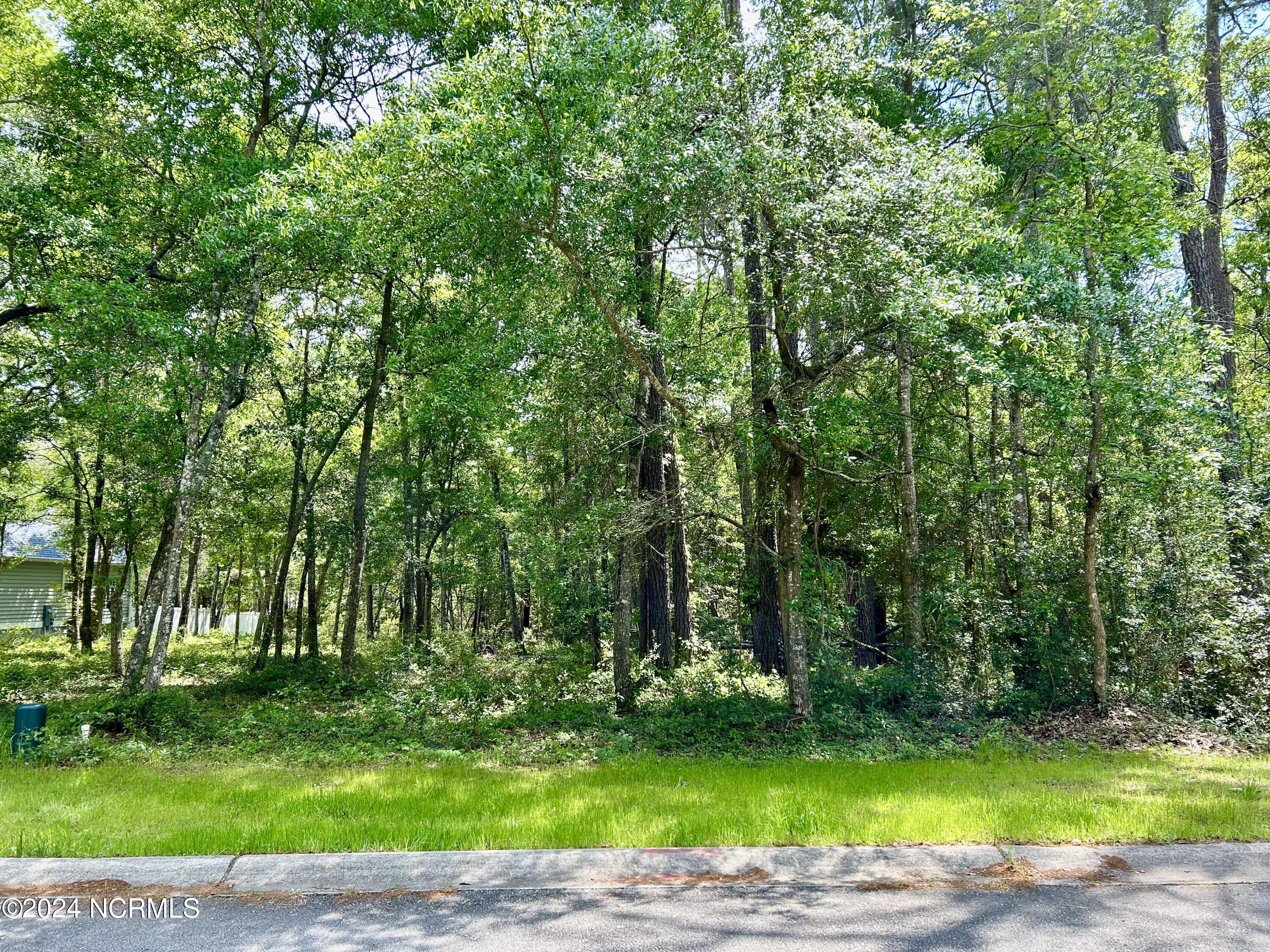 1119 Indigo Branch Road SW