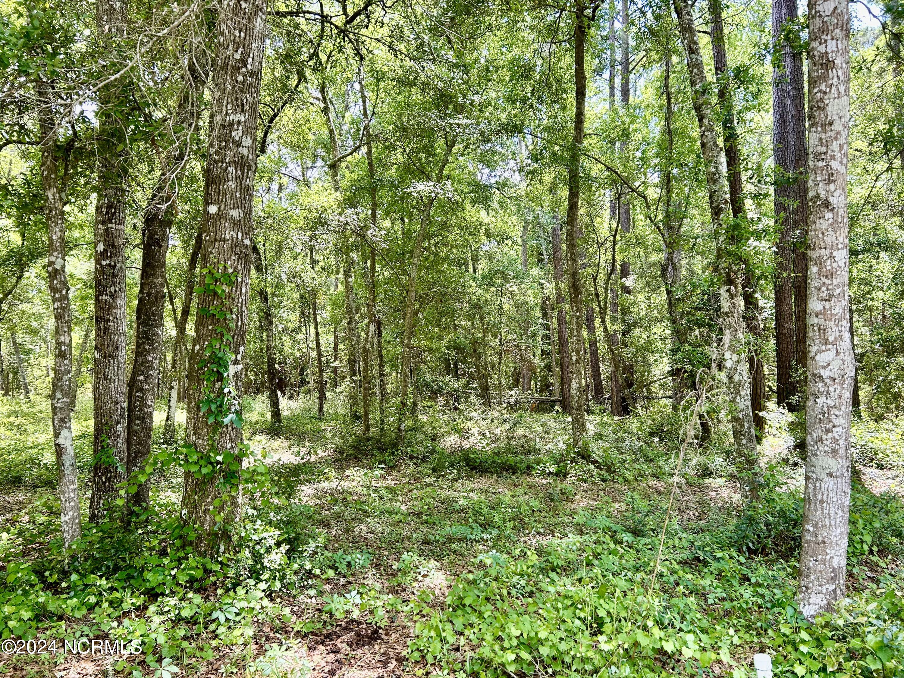 1119 Indigo Branch Road SW
