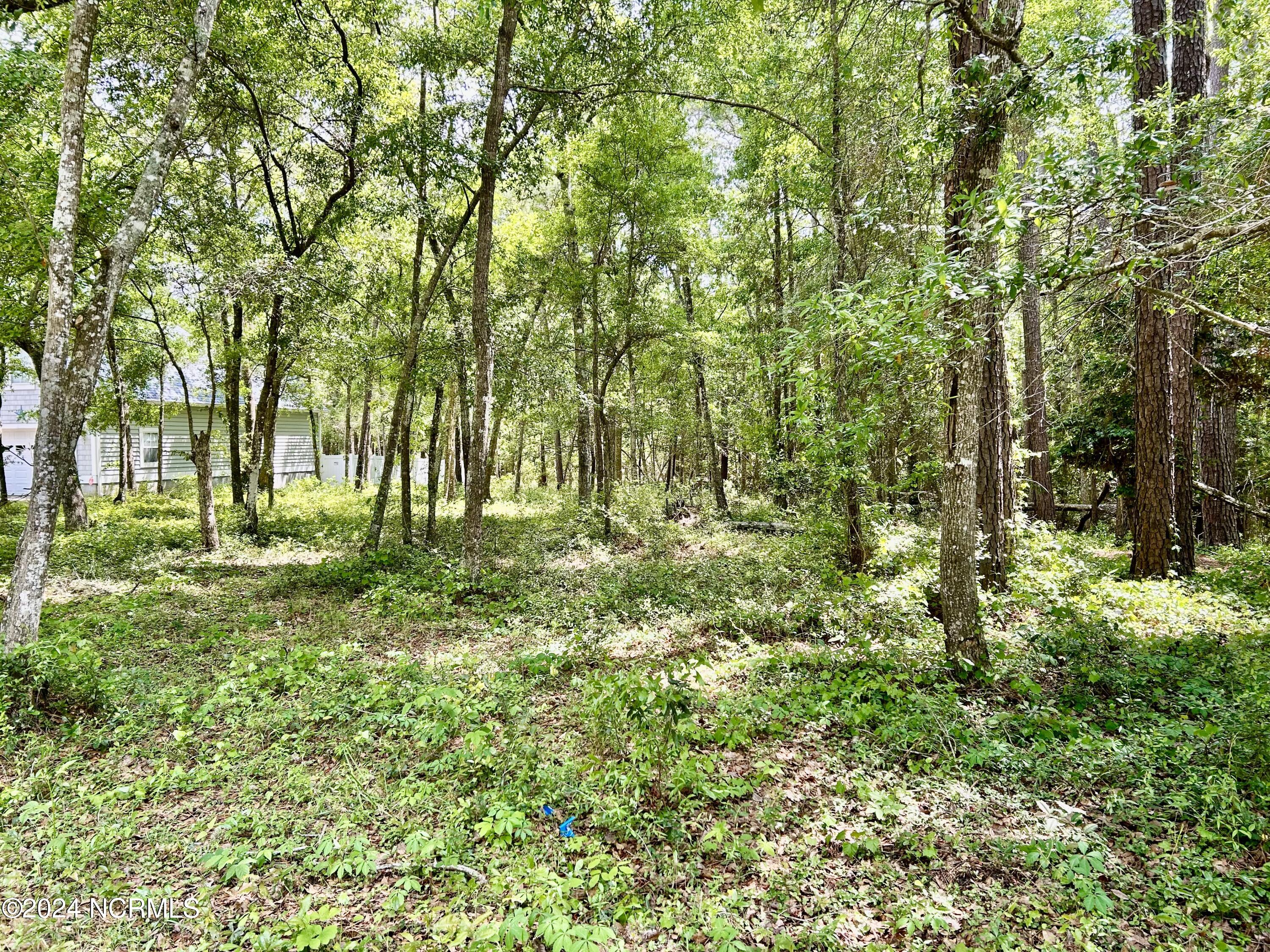 1119 Indigo Branch Road SW