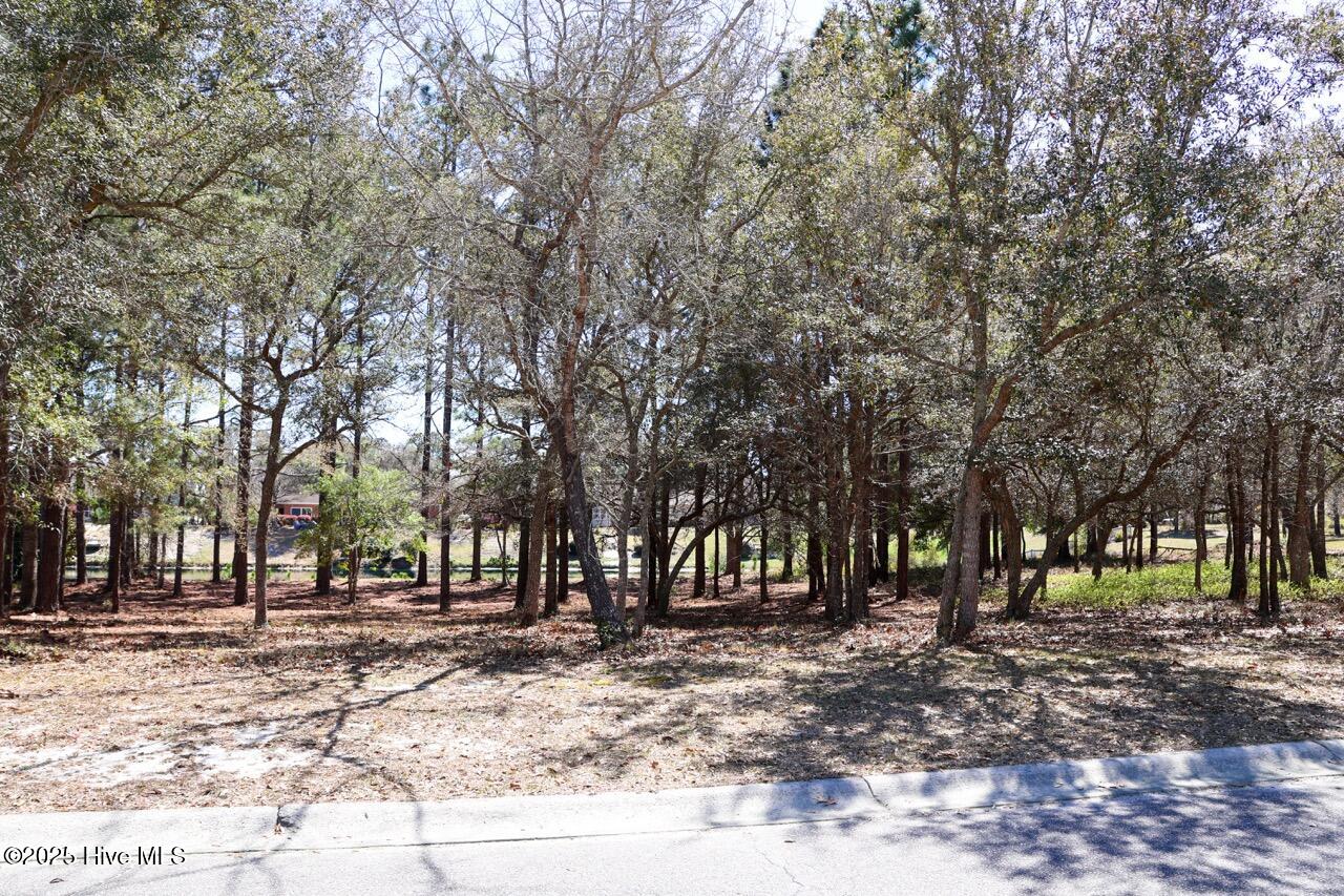 2638 54 Jessica Lane SW