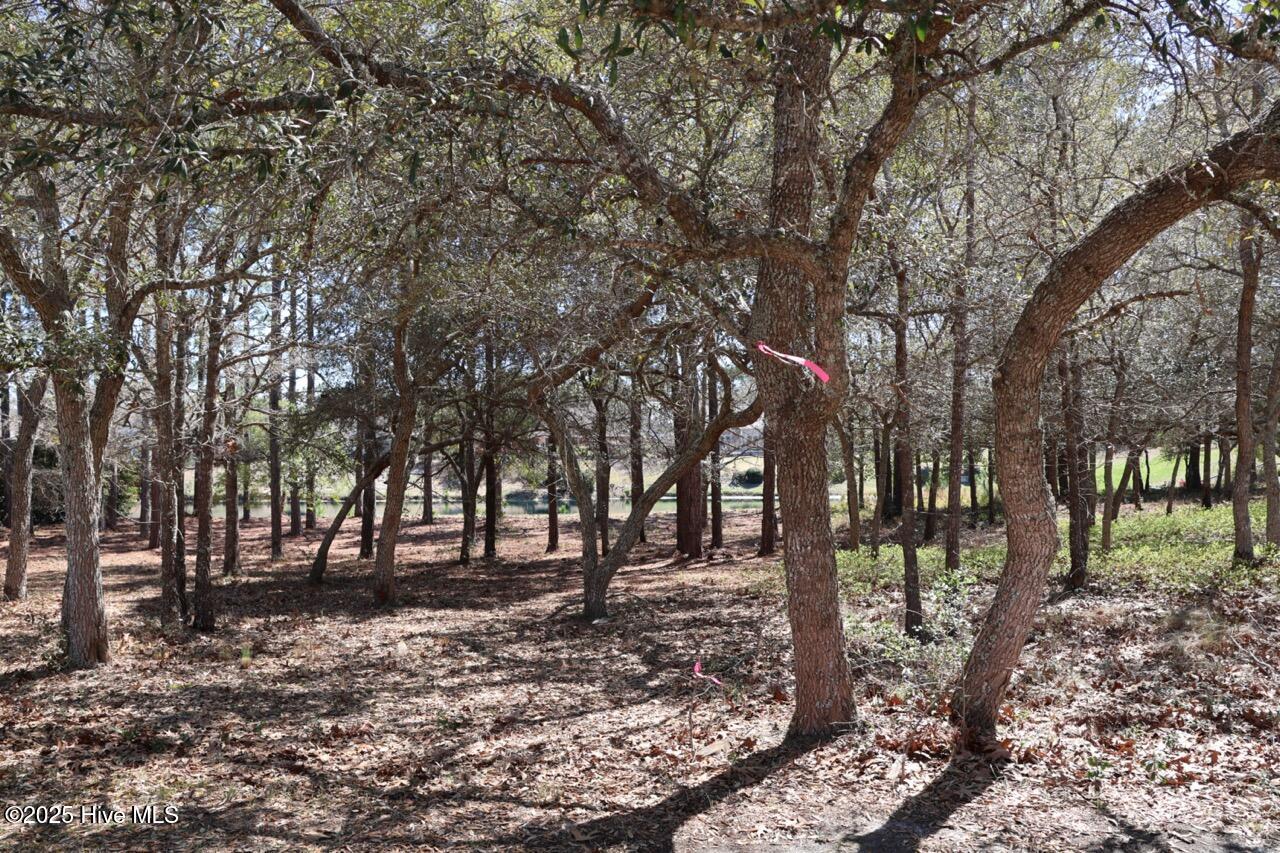 2638 54 Jessica Lane SW