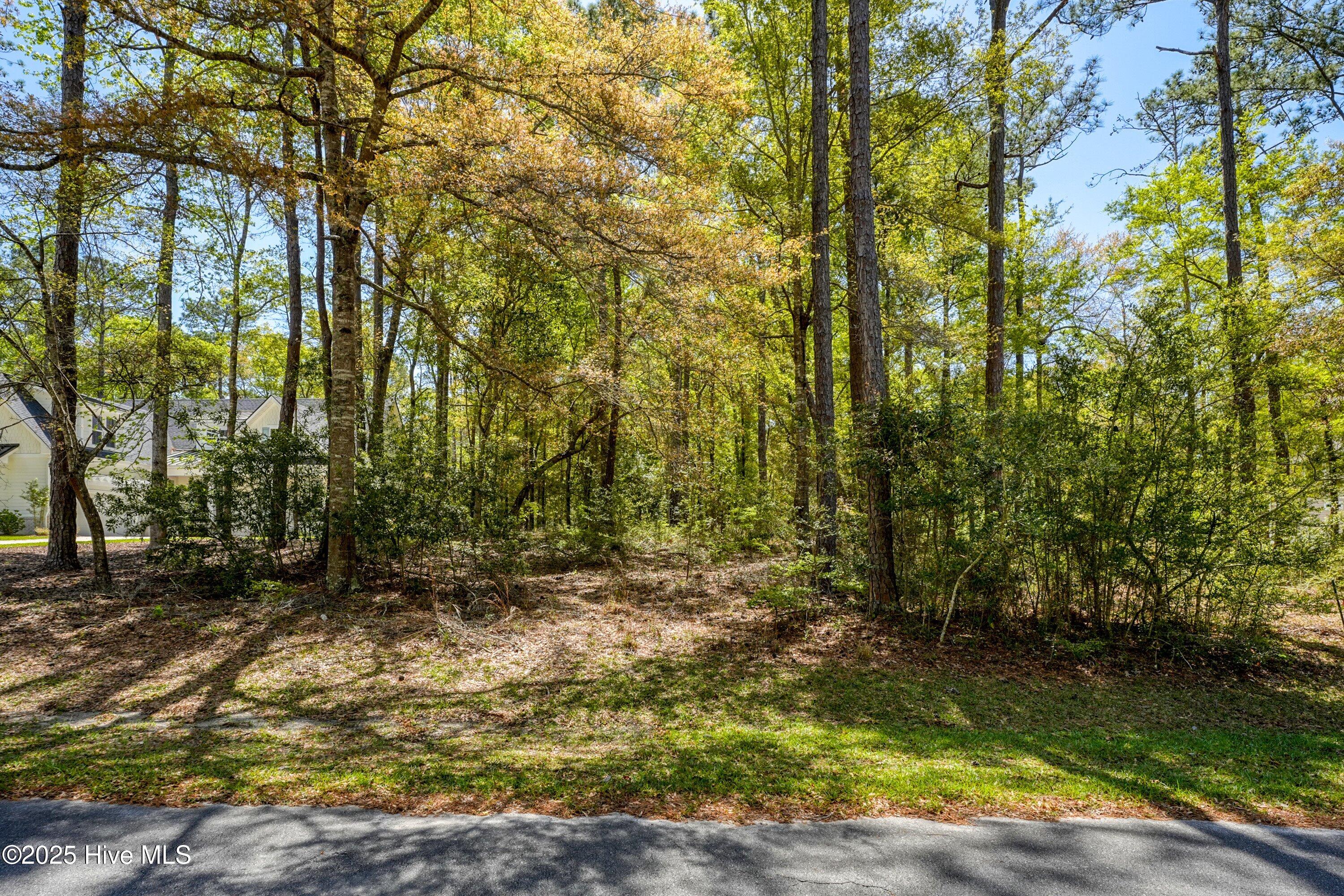 1828 75 Harbour Edge Lane SW