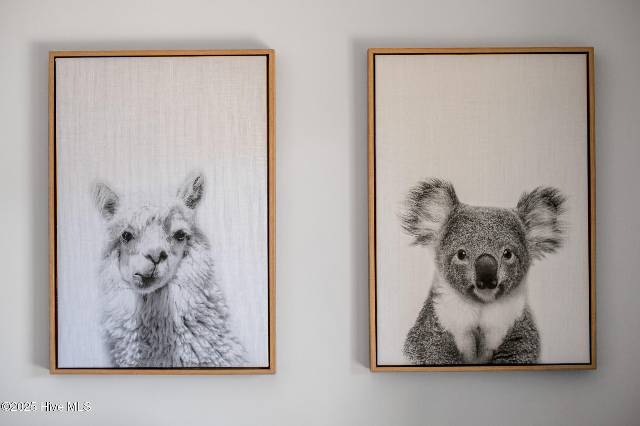 1031 Coquina Cove Drive