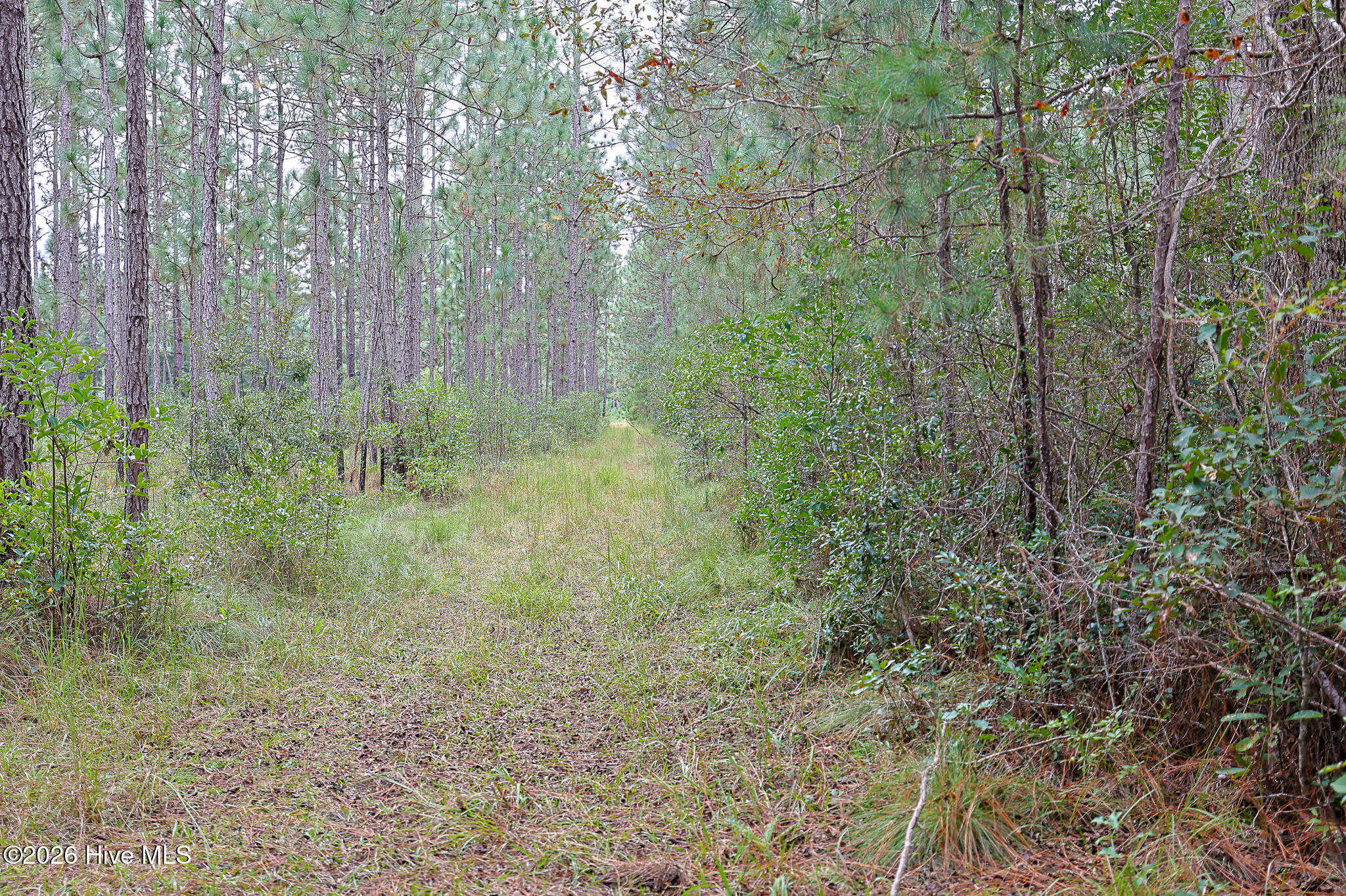 10.57 Ac Egypt Road NW
