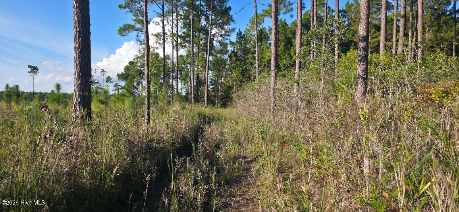 10.57 Ac Egypt Road NW